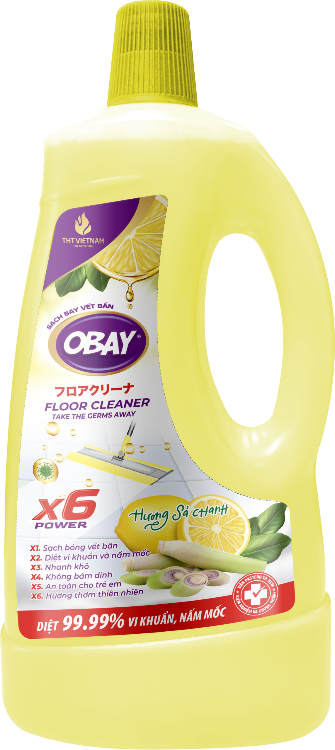 Vệ sinh nhà cửa