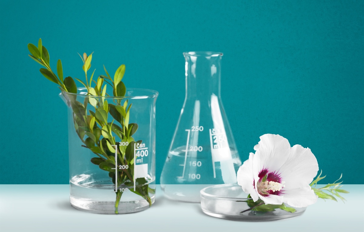 International standard cosmetic chemical processing process: Important steps and notes