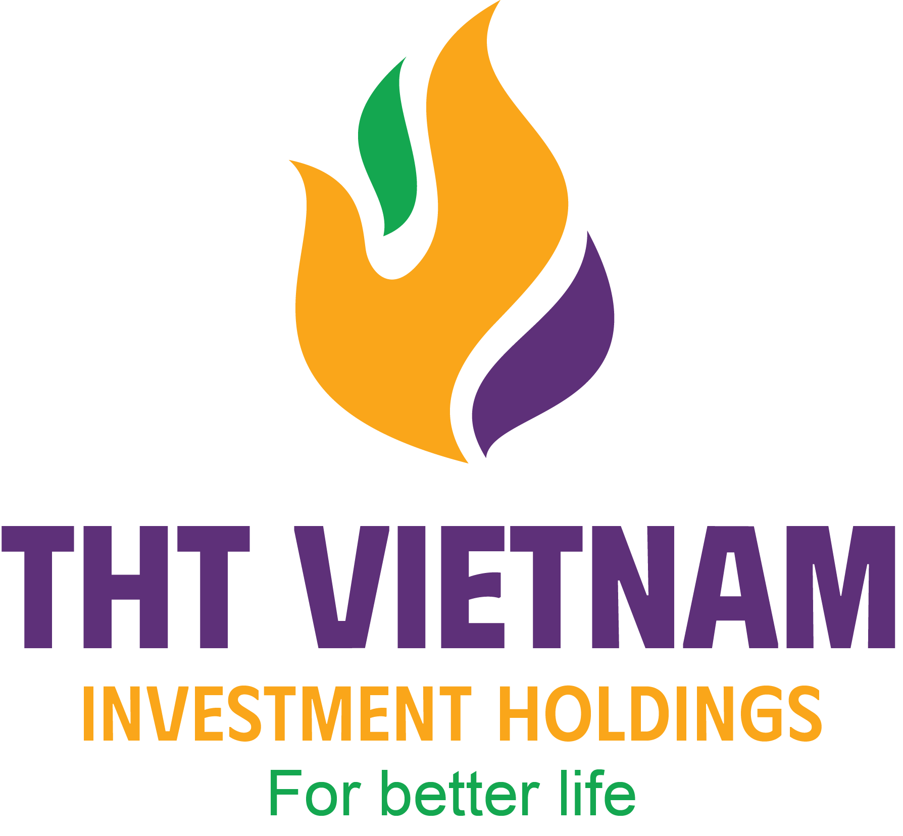 thtvietnam.com.vn