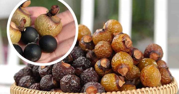 Tự làm nước rửa chén tại nhà từ quả bồ hòn